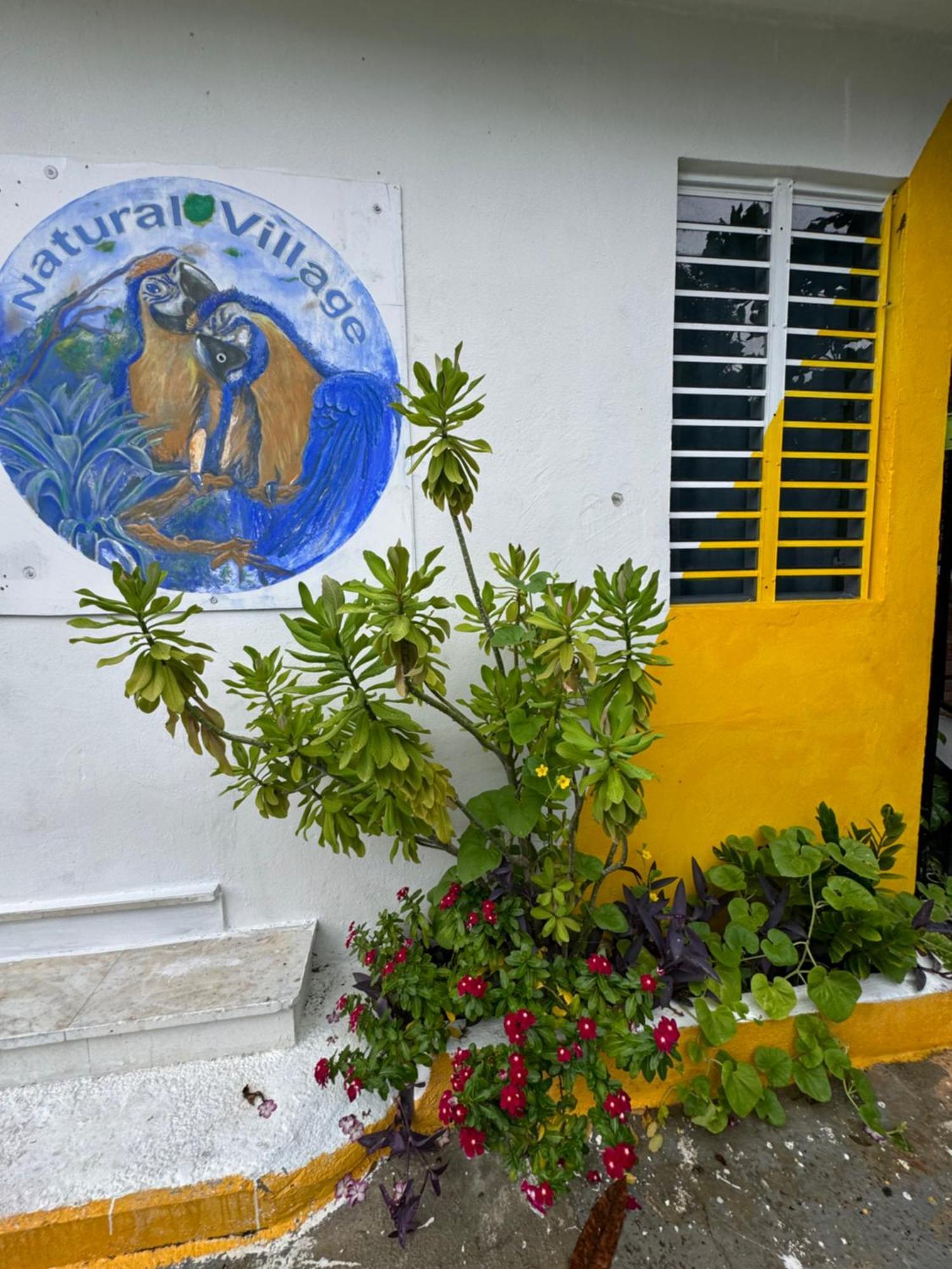 Casita Natural Village #4, #6 Y #8 San Juan Exterior foto